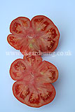 Large beefsteak tomato cut in two