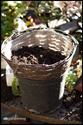 Half fill the basket with compost, but don't bother with water retaining gel.